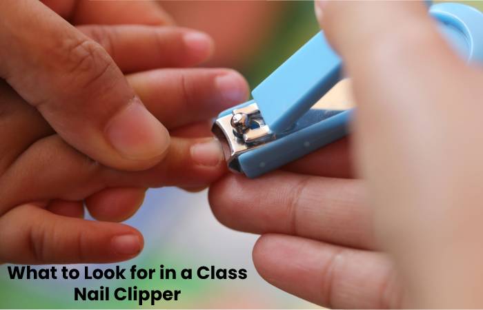 Best Nail Clippers (2)