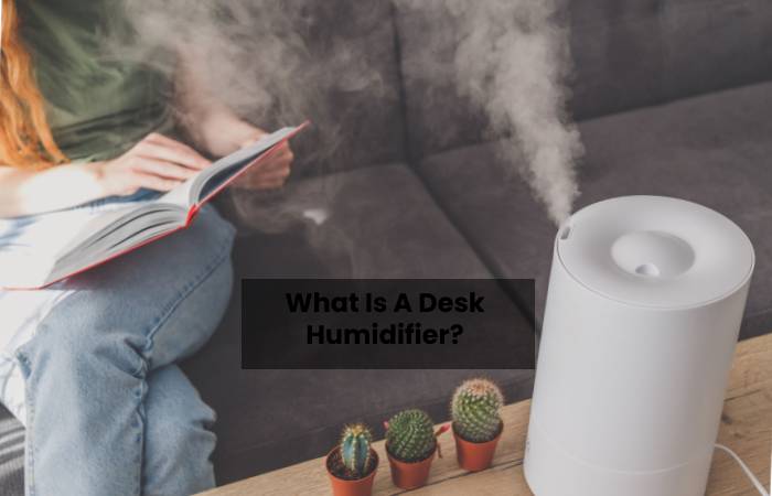 Desk Humidifiers That'll Moisturize the Air (1)