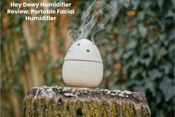 Hey Dewy Humidifier Review_ Portable Facial Humidifier