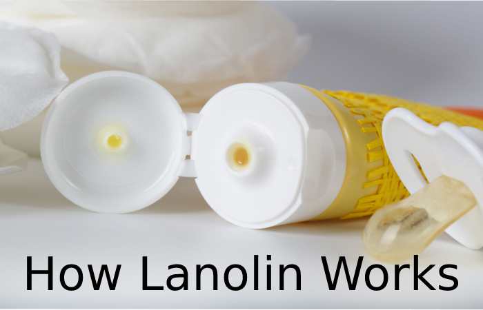 Lanolin Hand Cream (1)