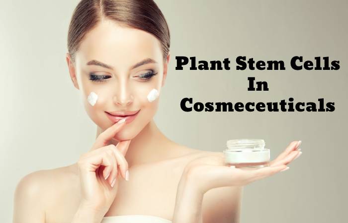 Stem Cells In Skincare Treatments (1)