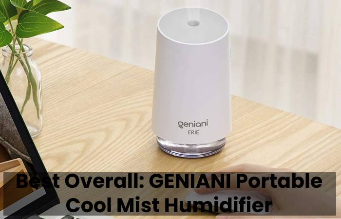 Water Bottle Humidifier (1)