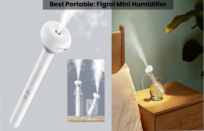 Water Bottle Humidifier (2)