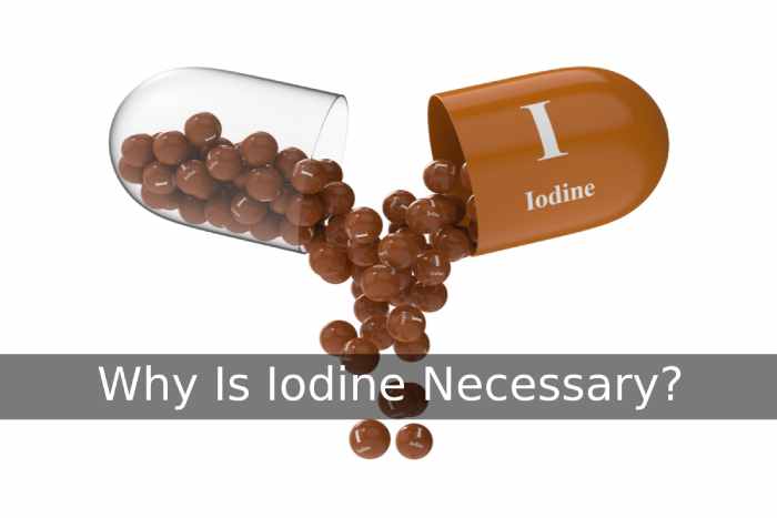 Iodine Supplements (4)