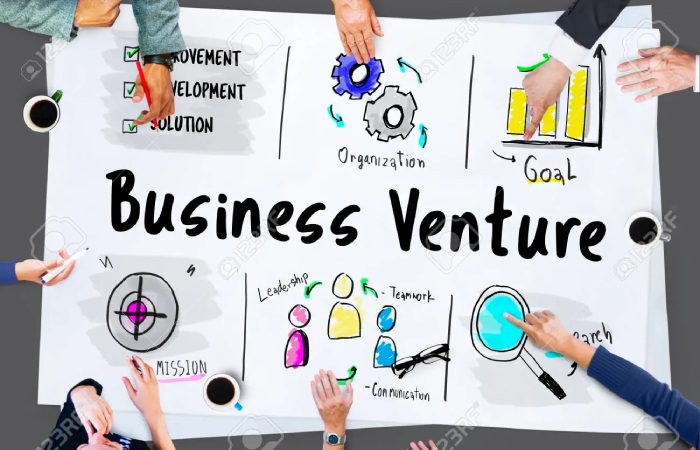 What Is a venture In a Business_