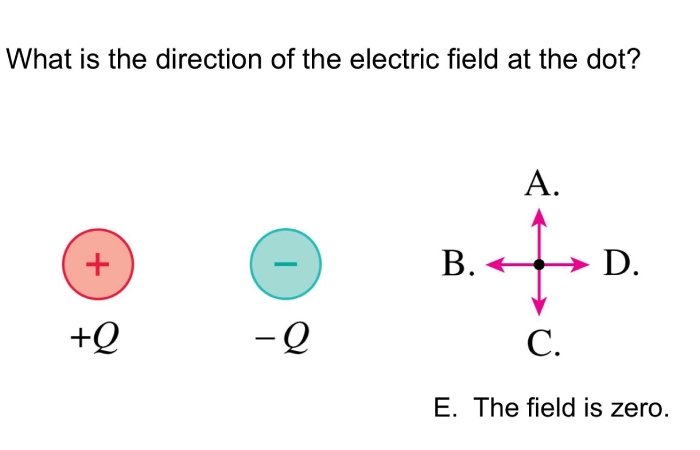 What Is The Direction Of The Electric Field At The Dot_