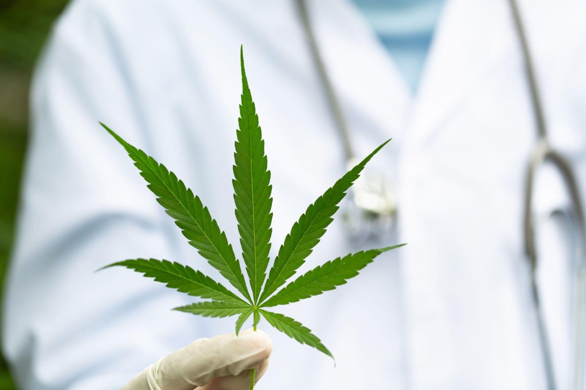 cannabis Write for Us