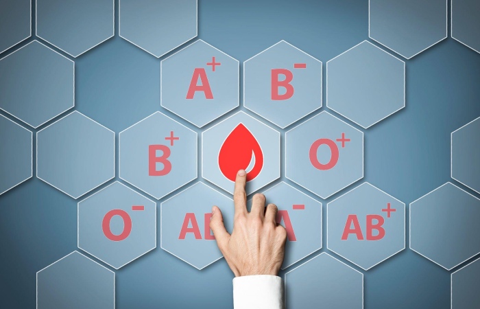 Understanding Blood Groups and Their Significance