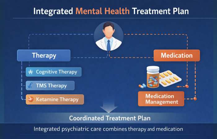integrated mental health treatment plan flowchart